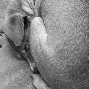 Happy birthday to the love of my life :)